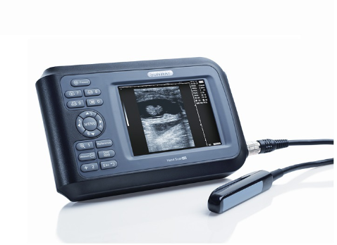 Pig Pregnant Ultrasound Scanner