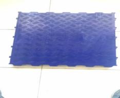 Swine plastic floor 700x600mm blind